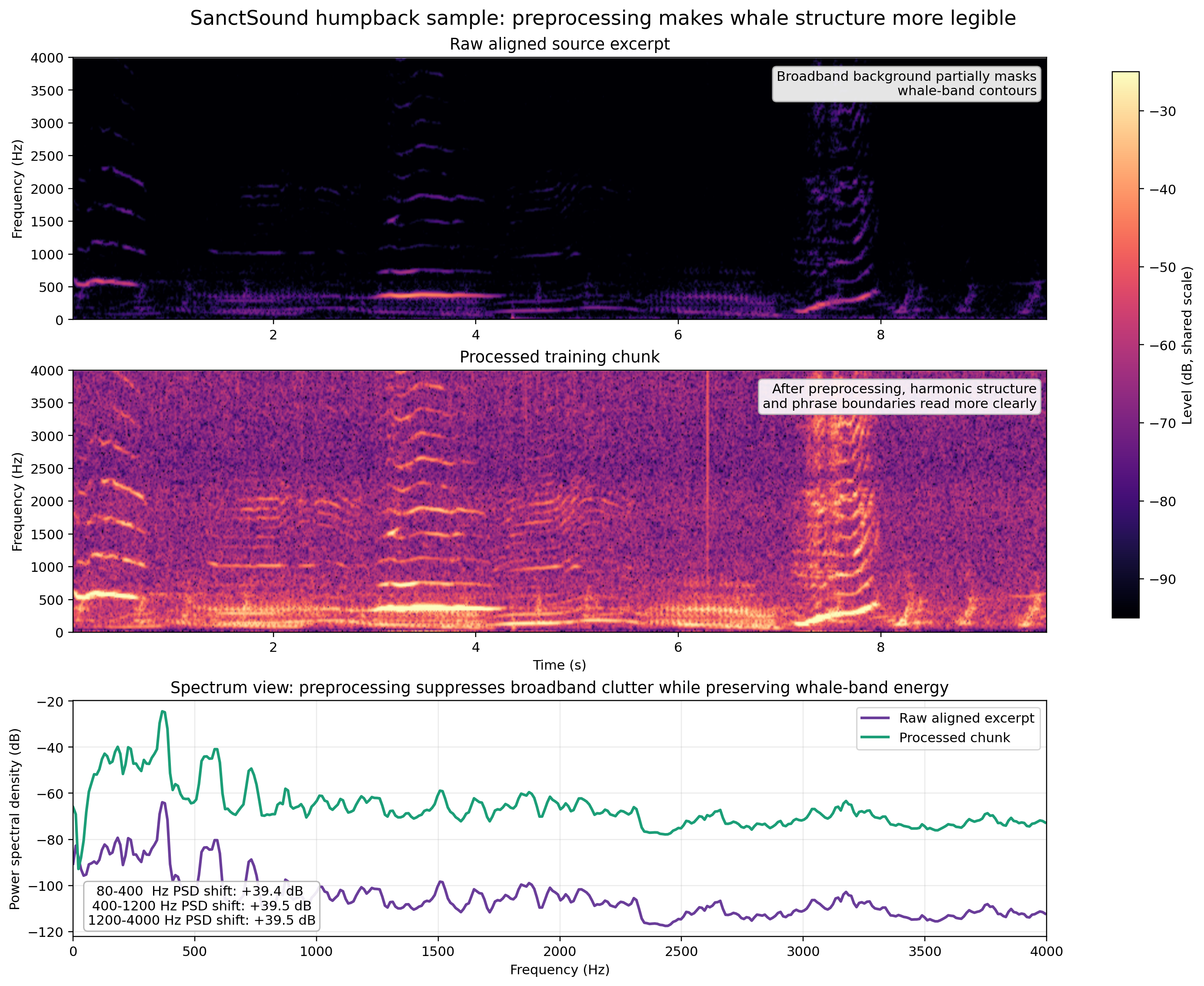 Real SanctSound humpback sample before and after preprocessing, comparing the raw aligned source excerpt against the processed training chunk used by the pipeline.