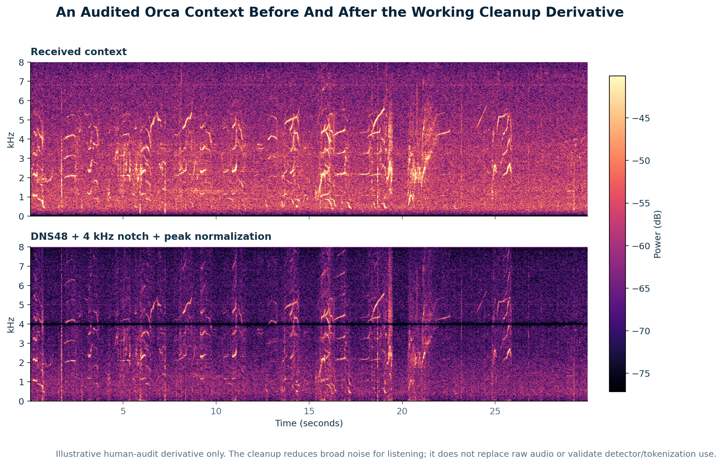Paired spectrograms of an audited Orca context before and after DNS48 cleanup with a 4 kilohertz notch and peak normalization.